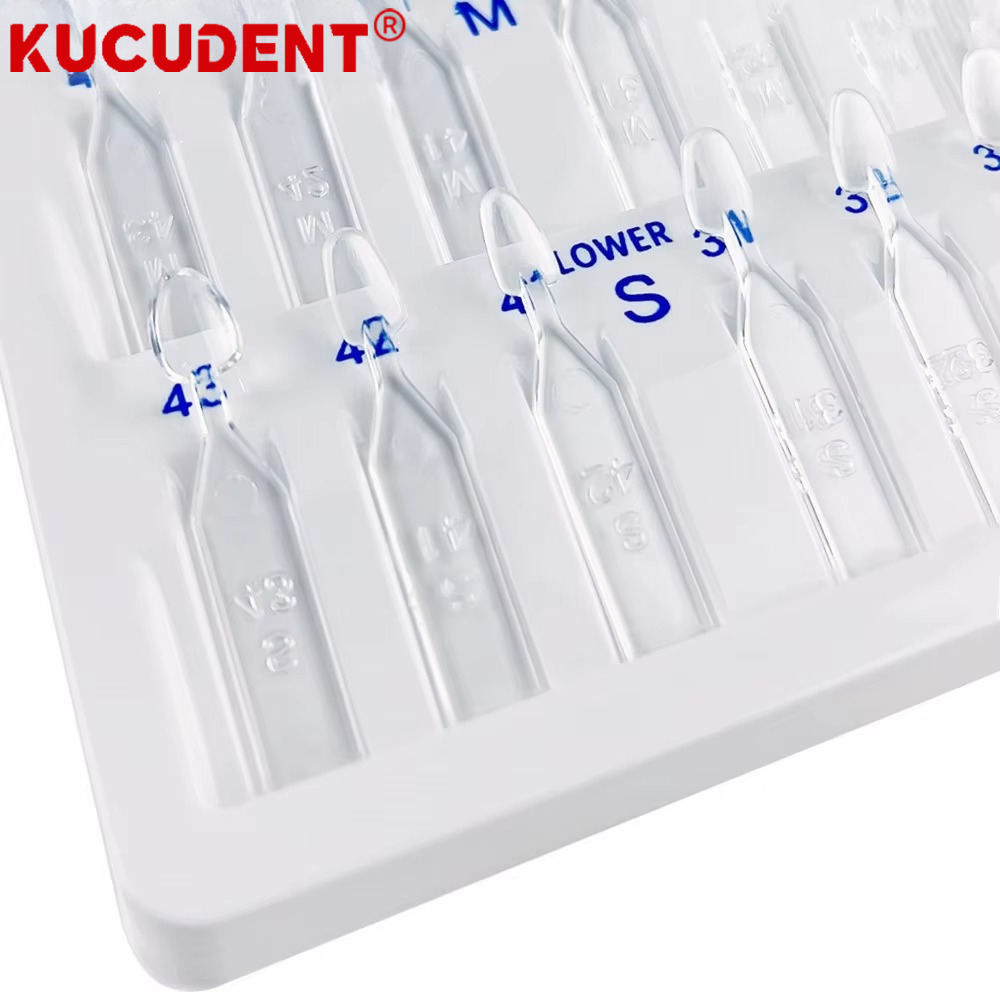 30Pcs/Set Dental Veneer Mould  - Teeth Whitening Moulds ulasan dan harga