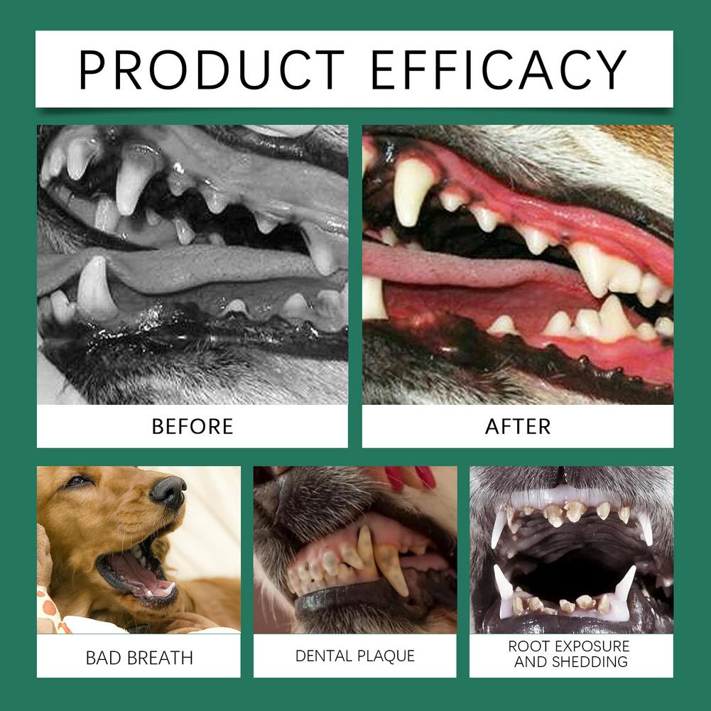 Dog Teeth Cleaning Powder Remo - Teeth Whitening Near Me ulasan dan harga